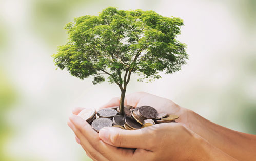Getting to the Root of Your Financial Greatness